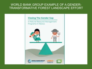 Catalyzing gender-forests action