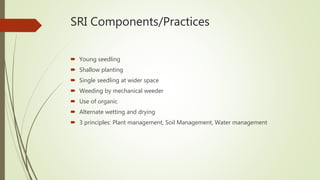 Understanding the adoption of multiple packages of system of rice intensification and its gender implications