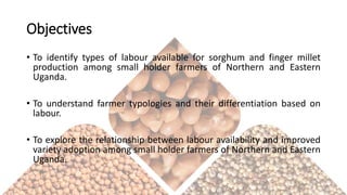The role of paid and unpaid labour on sorghum and finger millet production in Northern and Eastern Uganda