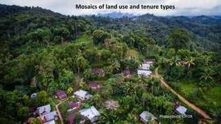 Women's tenure security on collective lands - implications for measurement and policy