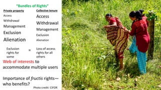 Women's tenure security on collective lands - implications for measurement and policy
