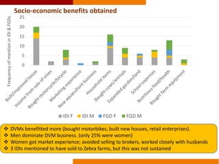 Commercializing OFSP in Mozambique: a gendered perspective