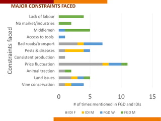 Commercializing OFSP in Mozambique: a gendered perspective