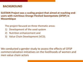 Commercializing OFSP in Mozambique: a gendered perspective