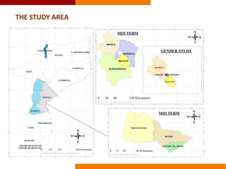 Commercializing OFSP in Mozambique: a gendered perspective