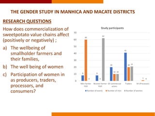 Commercializing OFSP in Mozambique: a gendered perspective