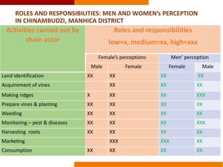 Commercializing OFSP in Mozambique: a gendered perspective