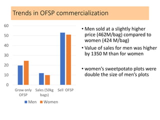 Commercializing OFSP in Mozambique: a gendered perspective