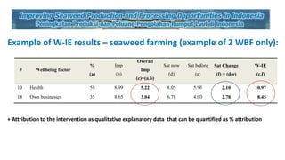 Using wellbeing concept to measure economic and social impacts: A case study of the seaweed processing women's groups in Indonesian villages