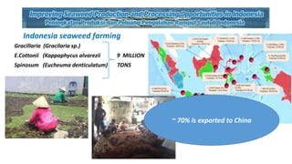 Using wellbeing concept to measure economic and social impacts: A case study of the seaweed processing women's groups in Indonesian villages