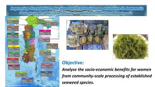 Using wellbeing concept to measure economic and social impacts: A case study of the seaweed processing women's groups in Indonesian villages