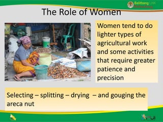 Gender role in agroforestry of areca nut and coffee in peatland area: Case of Jambi Province, Indonesia