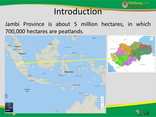 Gender role in agroforestry of areca nut and coffee in peatland area: Case of Jambi Province, Indonesia