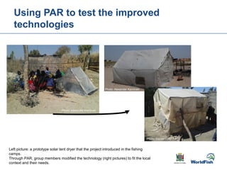 Gender transformative change along the capture fishery value chain: Panel evidence from the Barotse Floodplain, Zambia