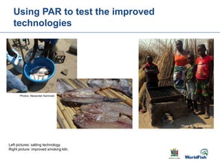 Gender transformative change along the capture fishery value chain: Panel evidence from the Barotse Floodplain, Zambia