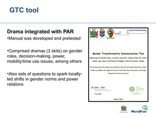 Gender transformative change along the capture fishery value chain: Panel evidence from the Barotse Floodplain, Zambia