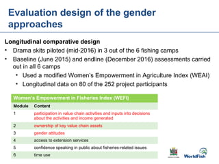 Gender transformative change along the capture fishery value chain: Panel evidence from the Barotse Floodplain, Zambia