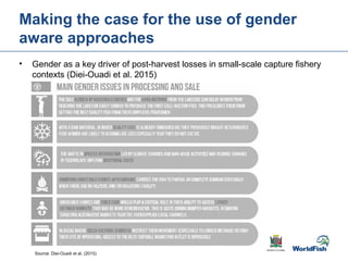 Gender transformative change along the capture fishery value chain: Panel evidence from the Barotse Floodplain, Zambia