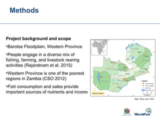 Gender transformative change along the capture fishery value chain: Panel evidence from the Barotse Floodplain, Zambia
