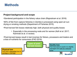 Gender transformative change along the capture fishery value chain: Panel evidence from the Barotse Floodplain, Zambia