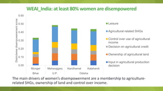 Adapting the women empowerment in agriculture index to specific country context insights and critiques from field work in India