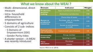 Adapting the women empowerment in agriculture index to specific country context insights and critiques from field work in India