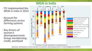 Adapting the women empowerment in agriculture index to specific country context insights and critiques from field work in India