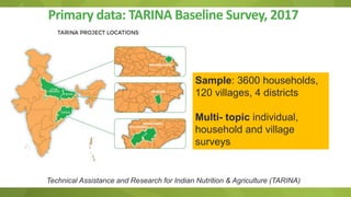 Adapting the women empowerment in agriculture index to specific country context insights and critiques from field work in India