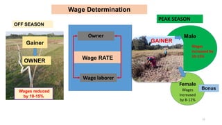 Determinants of gender based wage discrimination of agriculture wage laborer in Bangladesh