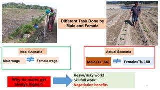 Determinants of gender based wage discrimination of agriculture wage laborer in Bangladesh