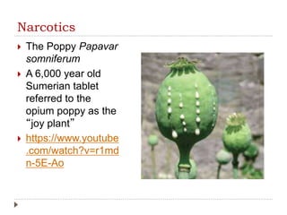 Narcotics
 The Poppy Papavar
somniferum
 A 6,000 year old
Sumerian tablet
referred to the
opium poppy as the
“joy plant”
 https://www.youtube
.com/watch?v=r1md
n-5E-Ao
 