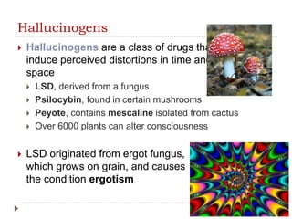 Hallucinogens
 Hallucinogens are a class of drugs that
induce perceived distortions in time and
space
 LSD, derived from a fungus
 Psilocybin, found in certain mushrooms
 Peyote, contains mescaline isolated from cactus
 Over 6000 plants can alter consciousness
 LSD originated from ergot fungus,
which grows on grain, and causes
the condition ergotism
 