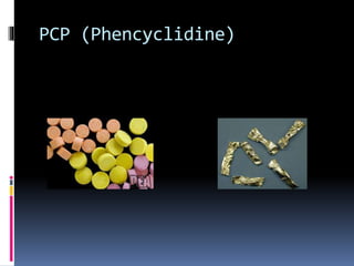 PCP (Phencyclidine) 
 
