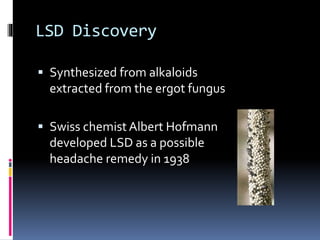 LSD Discovery 
 Synthesized from alkaloids 
extracted from the ergot fungus 
 Swiss chemist Albert Hofmann 
developed LSD as a possible 
headache remedy in 1938 
 