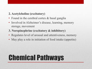 Chemical Pathways
2. Acetylcholine (excitatory)
• Found in the cerebral cortex & basal ganglia
• Involved in Alzheimer’s disease, learning, memory
storage, movement
3. Norepinephrine (excitatory & inhibitory)
• Regulates level of arousal and attentiveness, memory
• May play a role in initiation of food intake (appetite)
 