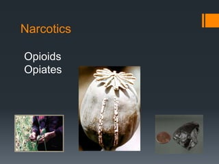 Narcotics
Opioids
Opiates
 