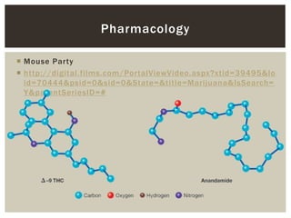  Mouse Party
 http://digital.films.com/PortalViewVideo.aspx?xtid=39495&lo
id=70444&psid=0&sid=0&State=&title=Marijuana&IsSearch=
Y&parentSeriesID=#
Pharmacology
 