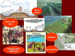 Waru warus Cultivo del  maíz Andenes TECNOLOGÍA  AGRÍCOLA Herramientas 