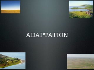 ADAPTATION
 