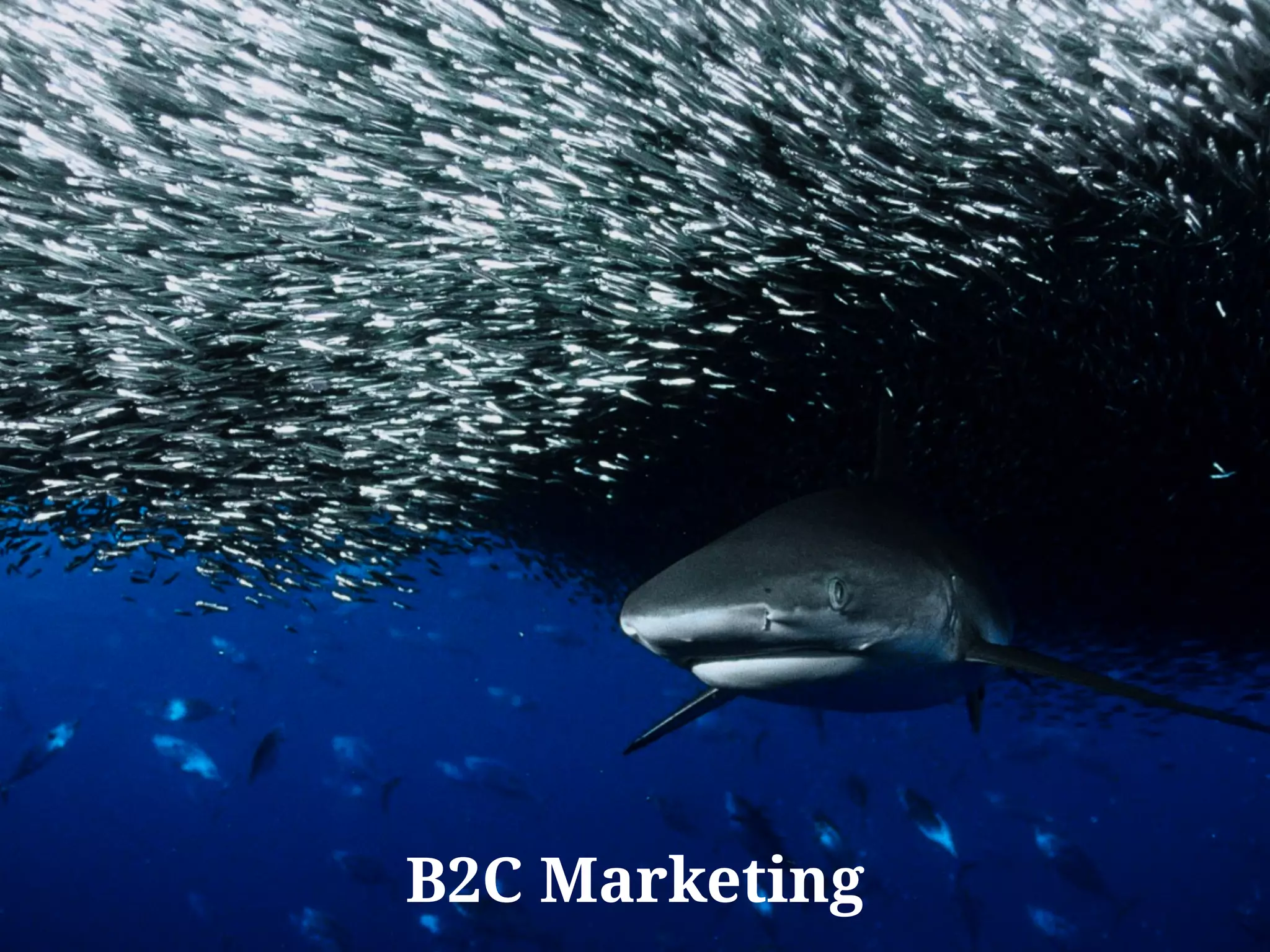 B2C Marketing
 