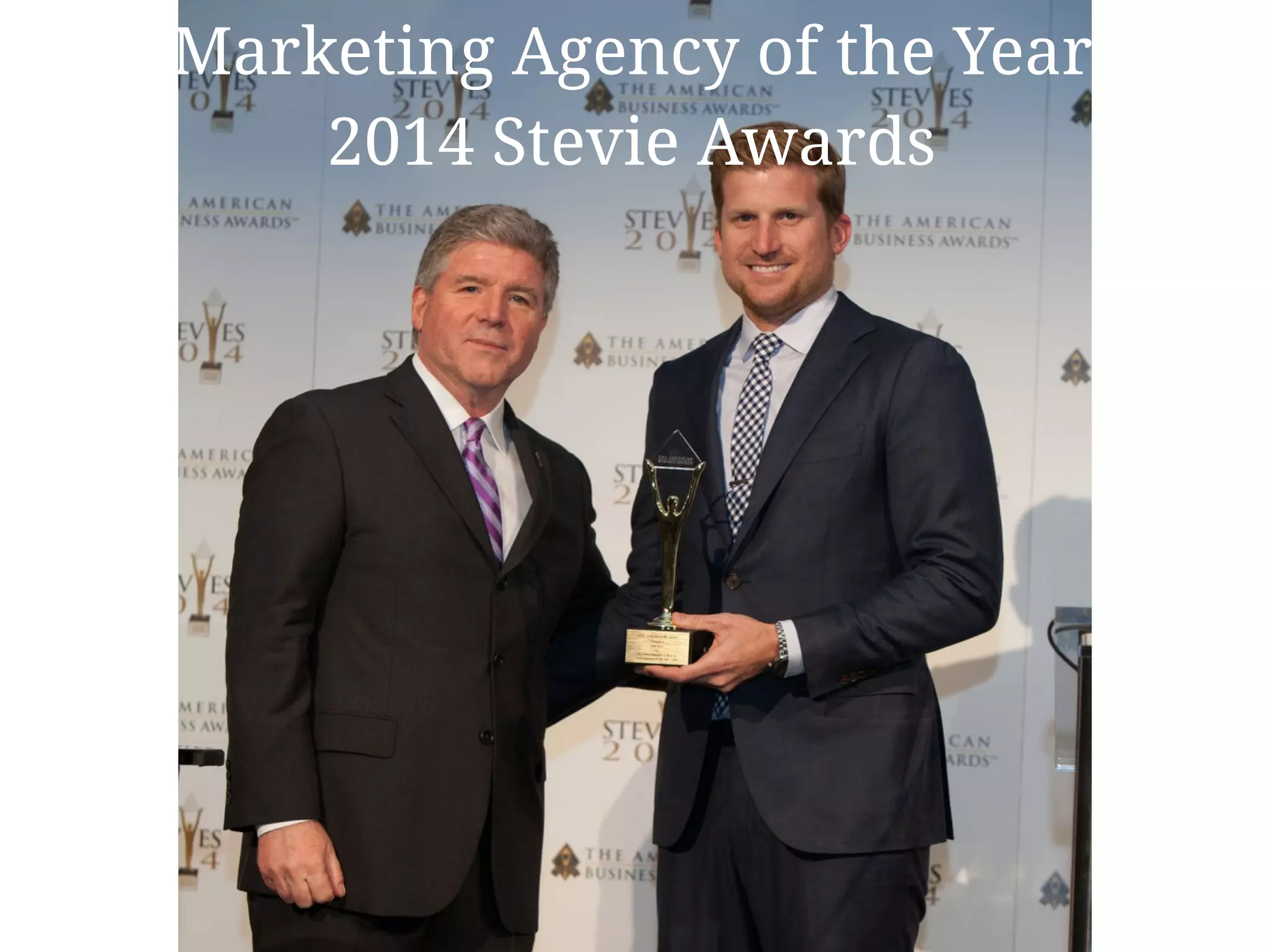 Marketing Agency of the Year
2014 Stevie Awards
 