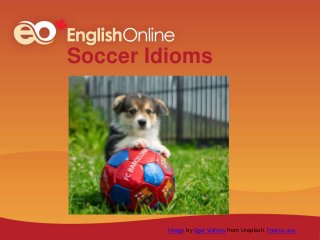 Soccer Idioms
Image by Egor Vikhrev from Unsplash. Free to use.
 
