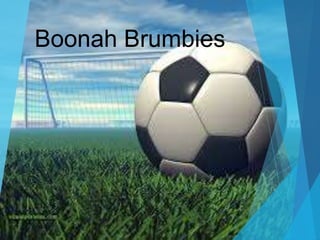 Boonah Brumbies
 