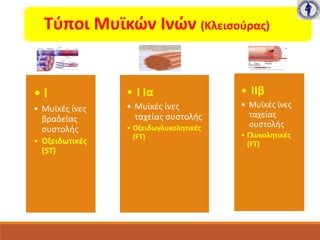 • I
• Μυϊκές ίνες
βραδείας
συστολής
• Οξειδωτικές
(ST)
• I Iα
• Μυϊκές ίνες
ταχείας συστολής
• Οξειδωγλυκολητικές
(FT)
• IIβ
• Μυϊκές ίνες
ταχείας
συστολής
• Γλυκολητικές
(FT)
Τύποι Μυϊκών Ινών (Κλεισούρας)
 