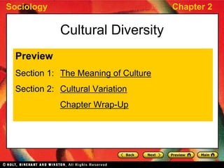 Sociology Chapter 2
Cultural Diversity
Preview
Section 1: The Meaning of Culture
Section 2: Cultural Variation
Chapter Wrap-Up
 