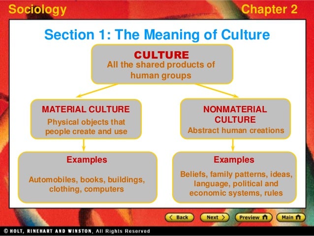 Resultado de imagem para culture in sociology