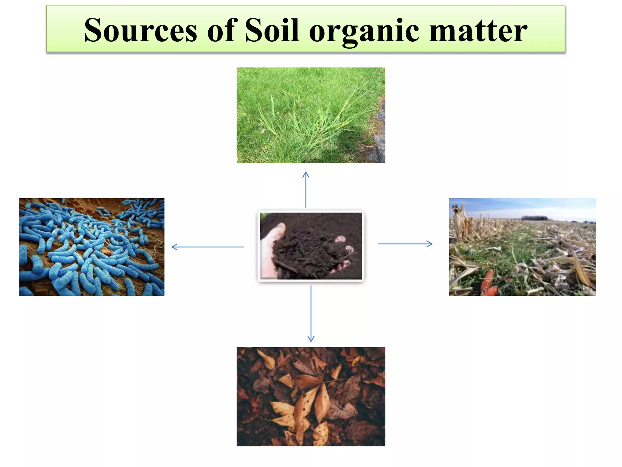 SOIL ORGANIC CARBON DYNAMICS: IMPACT OF LAND USE CHANGES AND MANAGEMENT ...