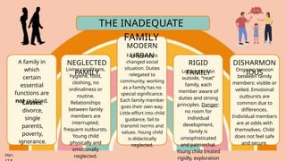 SOCE7312 Family vulnerabilities, Inadequacies and Red Flags | PPTX