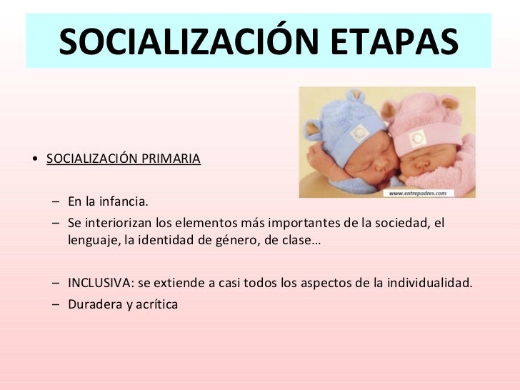 Etapas Socialización