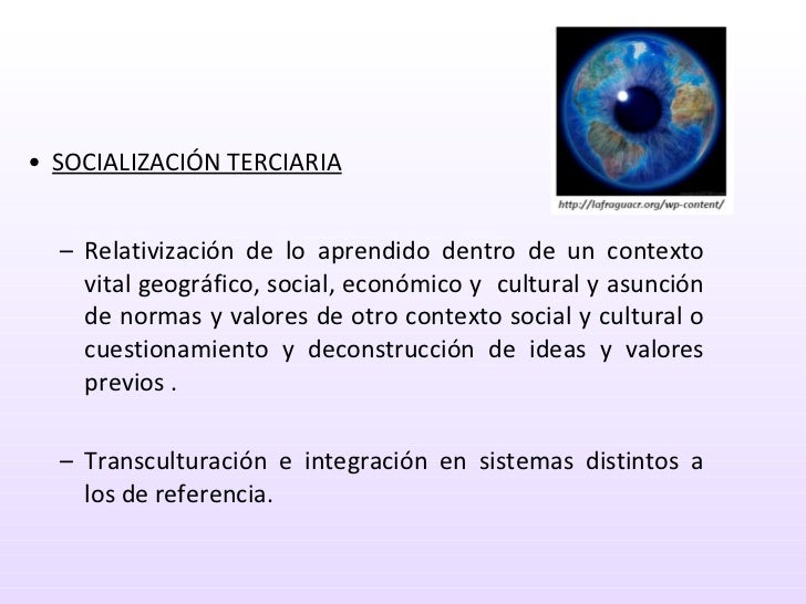 Etapas Socialización